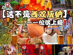 -正佳雨林生态植物园