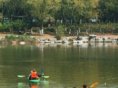 -大兴滨河森林公园