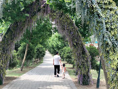 -扬州天乐湖嬉乐谷