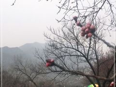 -居庸关长城