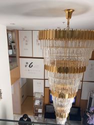 -熙朵美学植发·连锁品牌