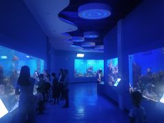 -石林冰雪海洋世界