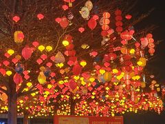 -厦门园林博览苑