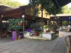 -张鸟园农家乐(张鸟园店)