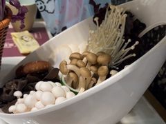 -洪氏嗨捞·猪肚鸡火锅(阳光天地店)
