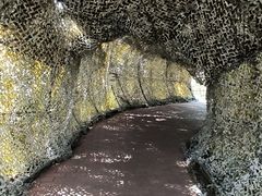 -北海金海湾红树林生态旅游区