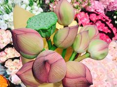 -双季花艺园艺市场(浦东店)
