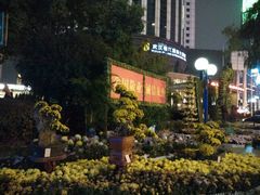 android_upload_pic-西北湖绿化广场