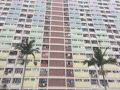 -彩虹村