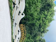 -西双版纳原始森林公园