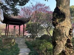 -浙江西子宾馆·牡丹厅