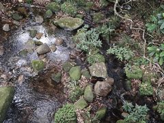 -海南热带雨林国家公园吊罗山景区
