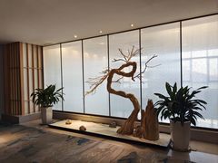 -大连金石滩绿发温泉假日酒店