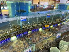 大红花蟹-欢乐海岸美食联盟