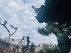 -艺圃