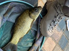 -酷鱼垂钓CLUB(朝阳区博大路店 )