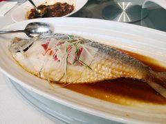 花雕蒸鲥鱼-太湖饭店·寄畅轩中餐厅