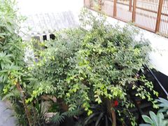-滕头生态酒店(奉化店)