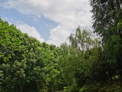 -同里国家湿地公园