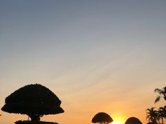 -鼓浪屿钢琴博物馆