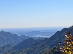 -大岭沟猕猴桃谷风景区