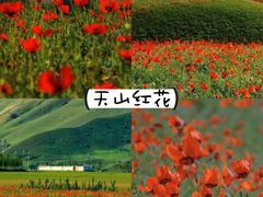 -伊犁河风景区