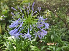 -雀儿山公园