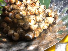 -威珀斯酒店·珀萃美食餐厅 | 海鲜刺身·现烤生蚝·特色烤肉