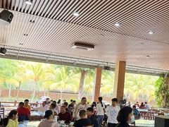 -兴隆槟榔园休闲农庄