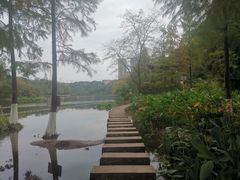 -重庆彩云湖湿地公园