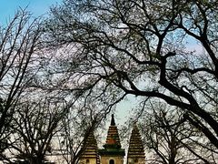 -北京石刻艺术博物馆(五塔寺)