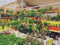 -秦美花卉(天朗·莱茵小城2期店)