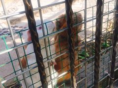 -上海滴水湖皇冠假日酒店