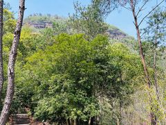 -天台山赤城山景区