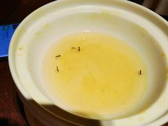 -侨美·唐荔园·40年地道粤菜