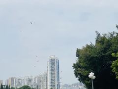-深圳龙潭公园