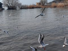 -三国水浒景区(无锡影视基地)