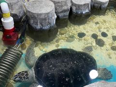 -嘉兴海底世界