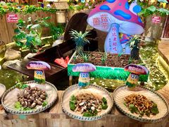 -老滇山寨•云南特色菜•地方菜•民族风情歌舞表演(金碧店)