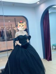 -金夫人婚纱摄影
