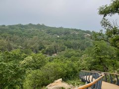 -白水寺森林公园