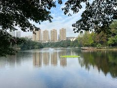 -重庆彩云湖湿地公园
