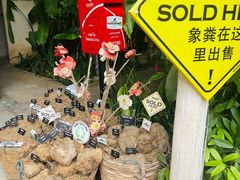 -大象粑粑造纸公园