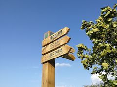-光明小镇欢乐田园
