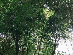 -厦门园林博览苑