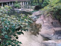 -广州市石门国家森林公园