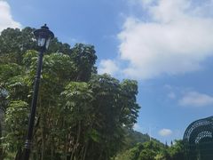 -南沙蒲洲花园