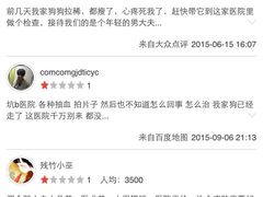 iphone_upload_pic-康乐宝动物医院