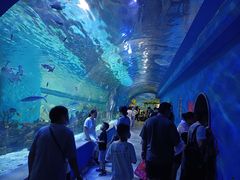 -常州海昌海洋探索馆