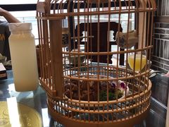 -杨记隆府(白象街店)